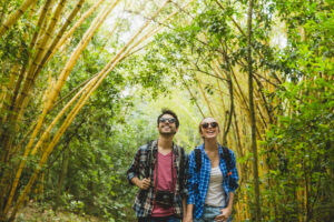 Trilhas no Rio de Janeiro- Da Pedra da Gávea aos mirantes mais fáceis e instagramáveis - Rio de janeiro Portal